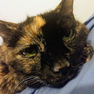 Meet your Posher, Tim megan